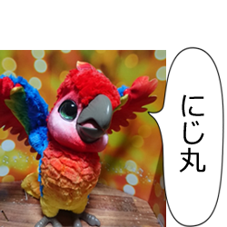 にじ丸